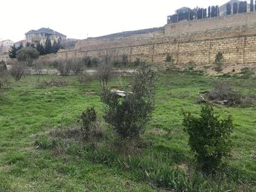 Torpaq sahələrinin satışı: 30 sot, Makler, Kupça (Çıxarış) — 16