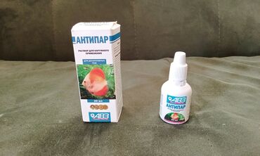 Akvariumlar: Salam! 1 şəkil -Akvarium - 35 manata 40 idi 2 şəkil -filtr - 16 -da lalafo.az — 5 Akvariumlar: Salam! 1 şəkil -Akvarium - 35 manata 40 idi 2 şəkil -filtr - 16 — 5