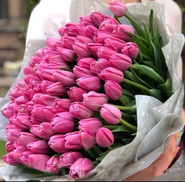 цветы тюльпаны: Организация мероприятий