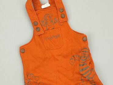 ocieplane legginsy dla dziewczynki 110: Dungarees, Disney, 3-6 months, condition - Very good