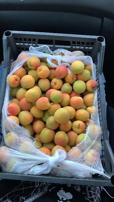 Ящики: Ящик — 3