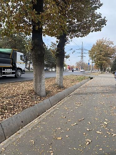 Продажа квартир: 2 комнаты, 50 м², Элитка, 7 этаж, Евроремонт — 2