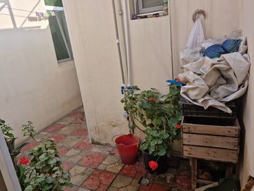 Həyət evləri və villaların satışı: Keşlə qəs. 3 otaqlı, 100 kv. m, Kredit yoxdur, Orta təmir -da lalafo.az — 2 Həyət evləri və villaların satışı: Keşlə qəs. 3 otaqlı, 100 kv. m, Kredit yoxdur, Orta təmir — 2