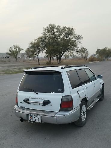 форестер 2008: Subaru Forester: 2000 г., 2 л, Автомат, Бензин, Универсал — 1