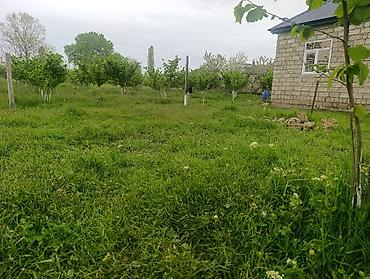 ucuz evler gence: Xaçmaz, 70 kv. m, 3 otaqlı, Hovuzlu, İşıq, Su, Kanalizasiya — 2
