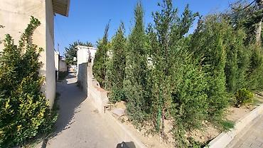 İcarəyə restoran və kafelər: Bir çox biznes sahəsinə yararlidir. Dönerxana, qril, təndir, çay evi — 4