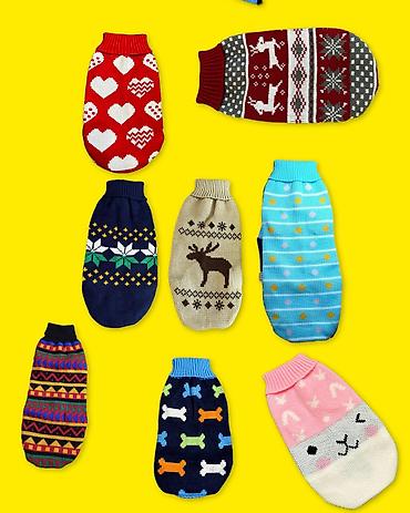 Зоотовары: Одежда для кошек и собак. Все НОВОЕ РАЗМЕР И ЦЕНА УКАЗАНЫ НА ФОТО — 24