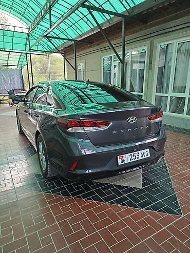 outback wilderness: Hyundai Sonata: 2018 г., 2 л, Автомат, Газ, Седан — 4