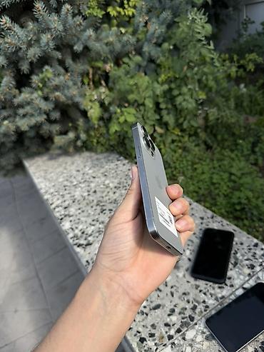 Apple iPhone: IPhone 14 Pro Max, цвет Silver (серебристый) - Корпус из матового — 4