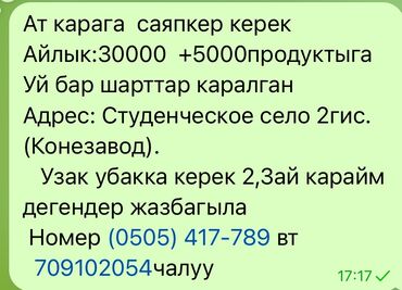 работа тренером: Вакансия: помощник по уходу за лошадьми (конюх) - Обязанности: уход и