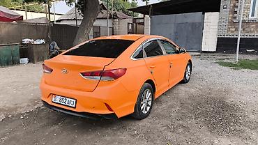оранжевый соната: Hyundai Sonata: 2017 г., 2 л, Автомат, Бензин, Седан — 5