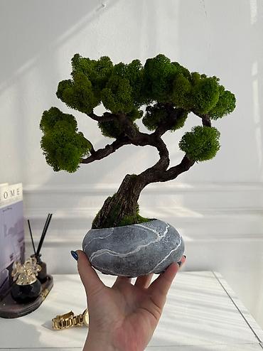 Декоративные цветы: Цены от 2500 сом( указаны на фото) В наличии и на заказ (3-7 дней) Все — 3