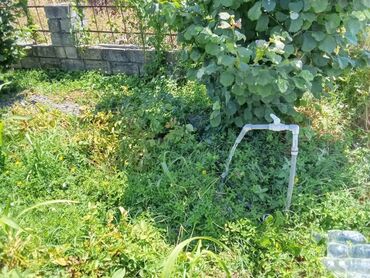 Torpaq sahələrinin satışı: 8 sot, Tikinti, Mülkiyyətçi, Texniki pasport — 4