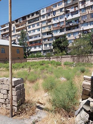 razin: 9 sot, Tikinti, Makler, Kupça (Çıxarış) — 5