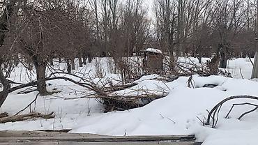 Продажа домов: Дом, 60 м², 3 комнаты, Собственник, Косметический ремонт — 10