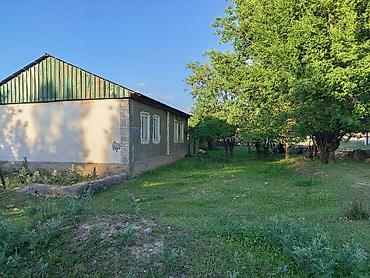 Үйлөрдү сатуу: Продаётся земельный участки на строительство по 15 соток с домом — 1
