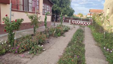 Kuće na prodaju: 80 kv. m, 3 sobe — 3