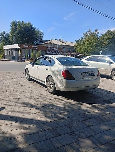 продаю лабо: Nissan Teana: 2003 г., 2.3 л, Автомат, Бензин, Седан — 4
