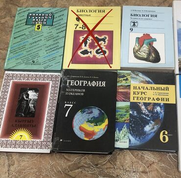 Электронные книги: Электронная книга, Б/у