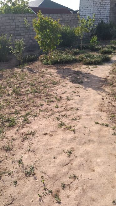 Həyət evləri və villaların satışı: Buzovna vişnovka .Tam dolu satlir eşyalarla birlikde -da lalafo.az — 11 Həyət evləri və villaların satışı: Buzovna vişnovka .Tam dolu satlir eşyalarla birlikde — 11