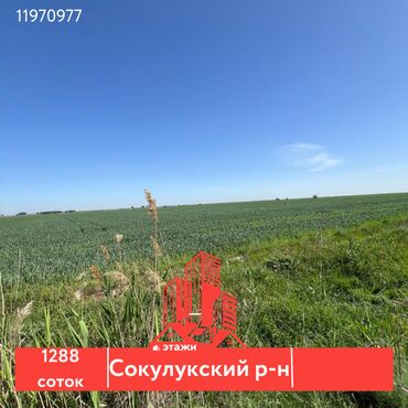 участок 3000: 1288 соток, Айыл чарба үчүн, Кызыл китеп, Сатып алуу-сатуу келишими