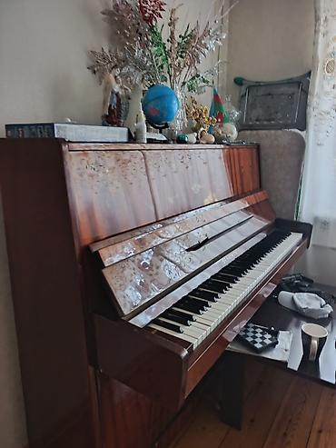 belarus 892: Akkustik piano – “Belarus” upright model - Korpus: parlaq taxta (maun — 5