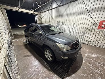 small car: Lexus RX: 2003 г., 3.3 л, Автомат, Бензин, Кроссовер — 6
