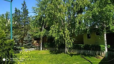 Продажа коттеджей и домов: Продам в центре двухэтажный кирпичный дом,+ цокольный этаж. Удобен — 5