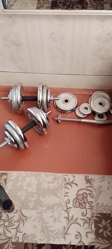 velosiped sini: Çoxfunksiyalı ev fitnes dəsti - Tənzimlənən trenajor skamyası: arxa — 1
