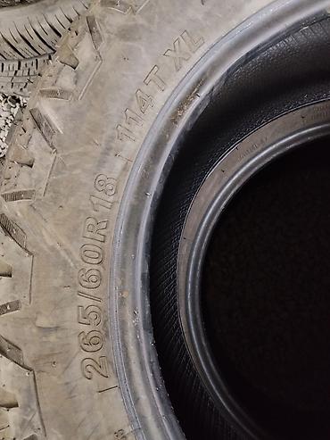 terrain: Пара всесезонных шин Monsta Terrain Gripper. Характеристики: - — 3