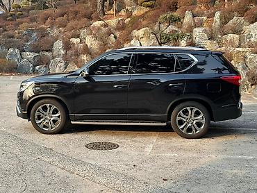 Ssangyong: Ssangyong Rexton: 2019 г., Внедорожник — 10