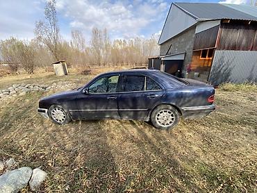 hyundai samsung: Mercedes-Benz E-Class: 1999 г., 2.2 л, Автомат, Дизель, Седан — 4