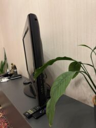 Televizorlar: İşlənmiş Televizor LG LCD 32" Ünvandan götürmə — 4