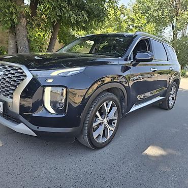 terrain: Hyundai Palisade: 2020 г., Кроссовер — 6