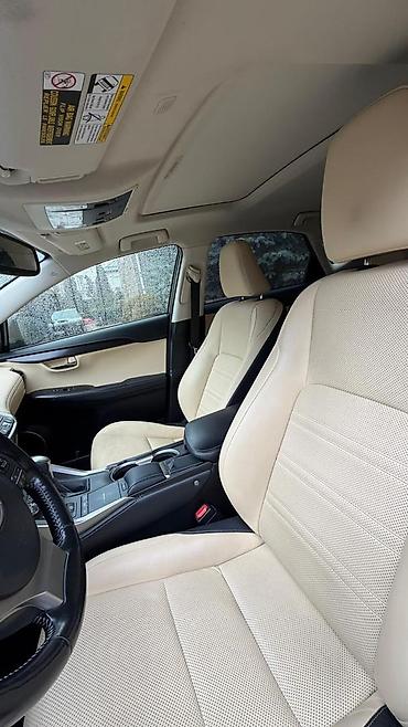 300h: Lexus NX: 2019 г., 2.5 л, Вариатор, Гибрид, Кроссовер — 6