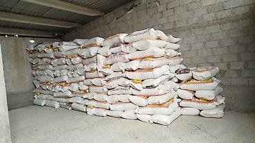 Корма для с/х животных: Отруби пшеничные «Улпак» — оптом. - Натуральные пшеничные отруби — 4