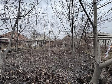 Продажа коттеджей и домов: 65000$ за 1 сотку земли!!! Общая площадь 17 соток!!! Продаётся 2 — 7