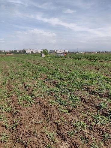 Куплю земельный участок: 10 соток — 3