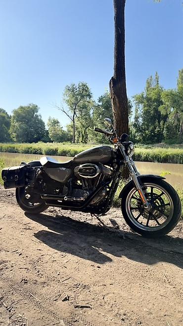 scr: Мотоцикл Harley‑Davidson Sportster 2011 год - Классический круизер с — 1
