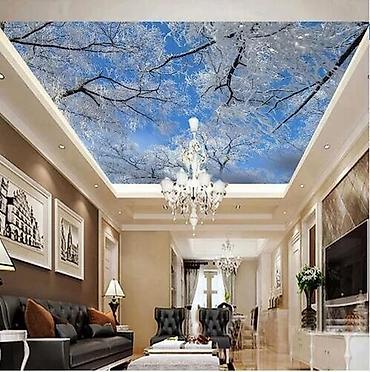 Натяжной потолок: Натяжной потолок — 25