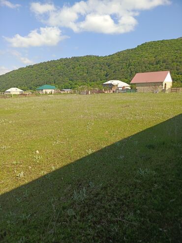 Torpaq sahələrinin satışı: 30 sot, Tikinti, Mülkiyyətçi, Kupça (Çıxarış) — 14