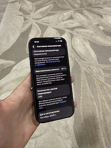iphone plus: IPhone 17 Pro, Б/у, 256 ГБ, Синий, Защитное стекло, Чехол, Кабель, 96 % — 5