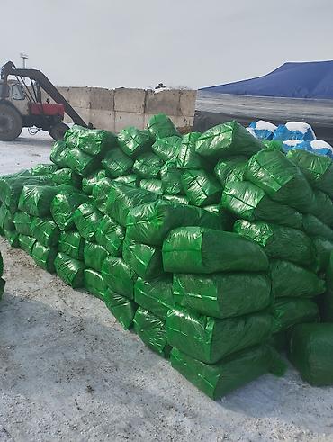 Корма для с/х животных: Кукурузный силос в мешках - Состав: измельчённая кукурузная масса с — 3