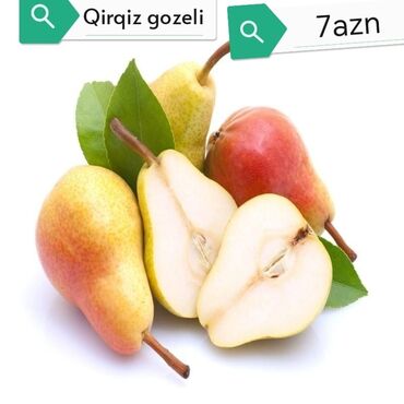 Şitillər: Salam Güllər Rusiyada gelib xarici gülldü nömrədə whatsapp var — 13