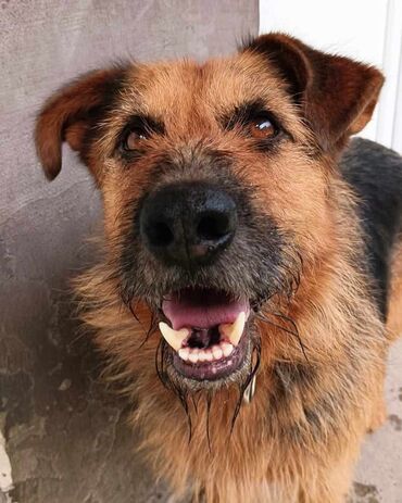 Stilske umetničke slike: Umjetničke slike – set digitalnih ilustracija - Kolekcija od tri — 33