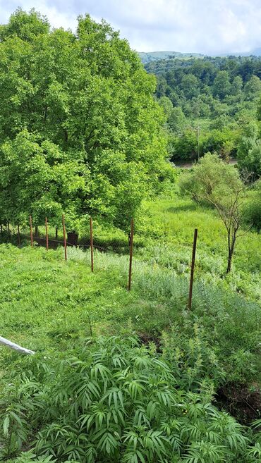 Həyət evləri və villaların satışı: 5 otaqlı, 100 kv. m, Kredit yoxdur, Təmirsiz — 9