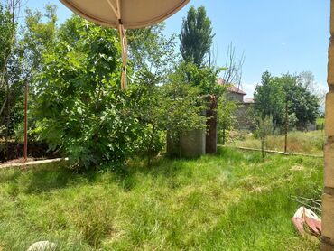 tecili satilan yataqxana: 25 sot, Tikinti, Barter mümkündür, Kupça (Çıxarış)