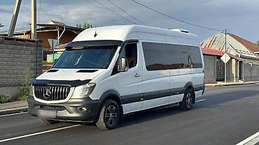 sprinter rex: Mercedes-Benz Спринтер: 2007 г., 2.9 л, Механика, Дизель, Бус — 3