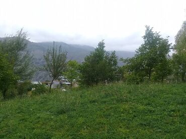 Torpaq sahələrinin satışı: 16 sot, Tikinti, Mülkiyyətçi, Kupça (Çıxarış) — 8