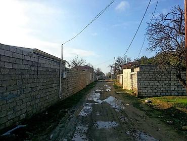 koroglu: 12 sot, Kənd təsərrüfatı, Mülkiyyətçi — 4